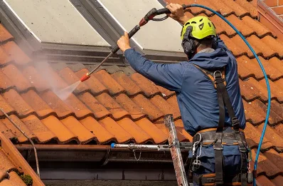 Démoussage et hydrofuge de toiture à Lasseube